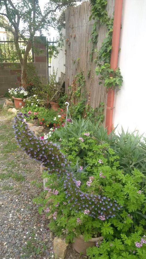 Ferienwohnung Lovely House Nebida Exterior foto